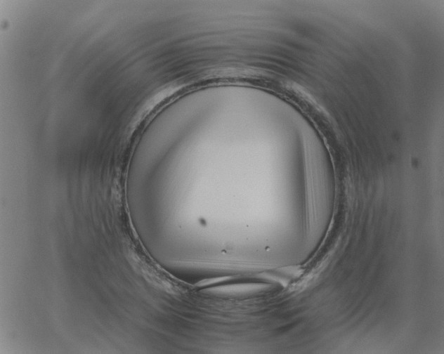 X0000066101025200603312020