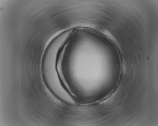 X0000066101028200603312020