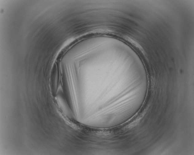 X0000066101029200603312020