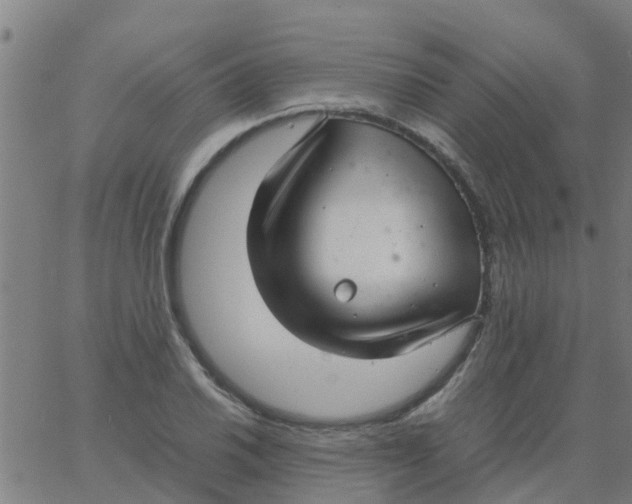 X0000066101030200603312020