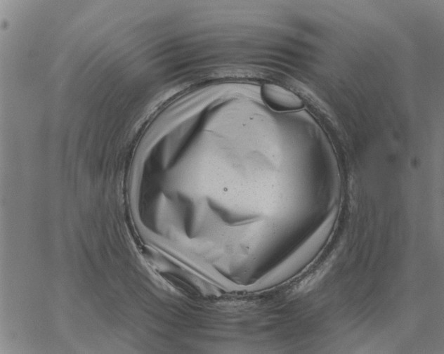 X0000066101033200603312020