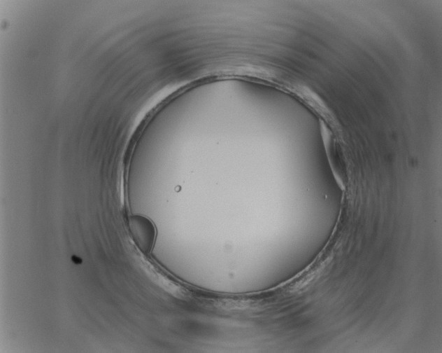 X0000066101036200603312020