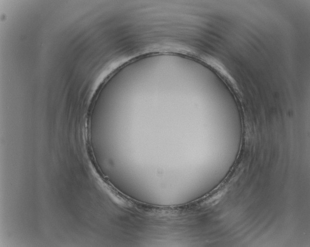 X0000066101040200603312020