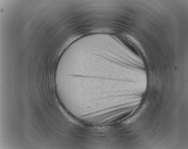 X0000066101041200603312020