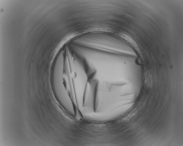 X0000066101043200603312020