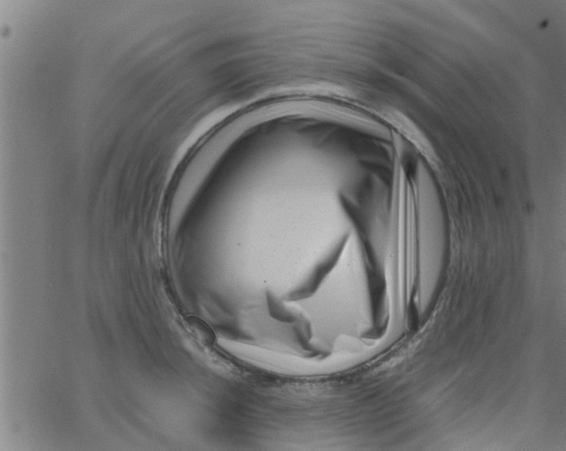 X0000066101044200603312020