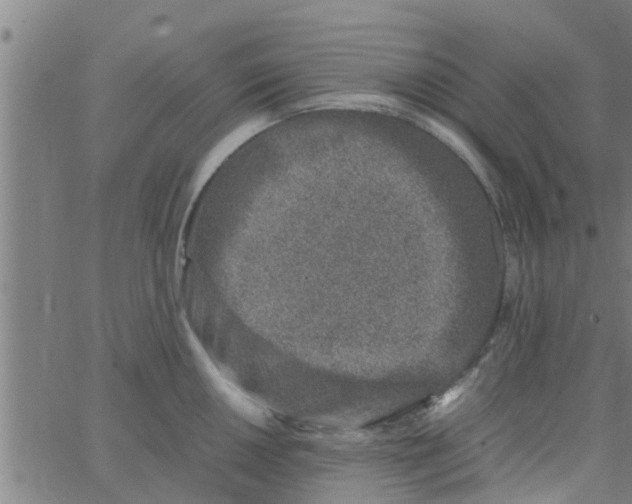 X0000066101050200603312020