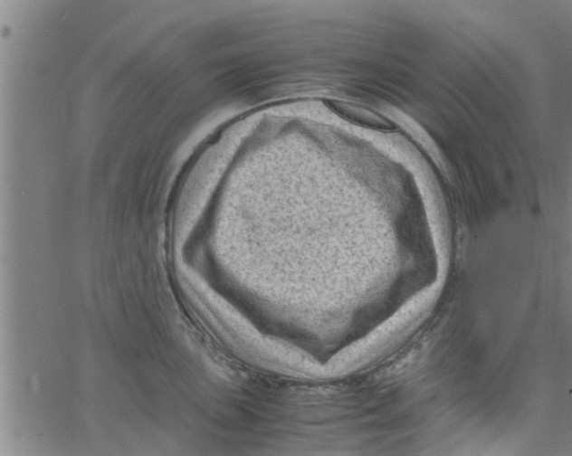 X0000066101051200603312020