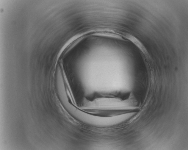 X0000066101052200603312020