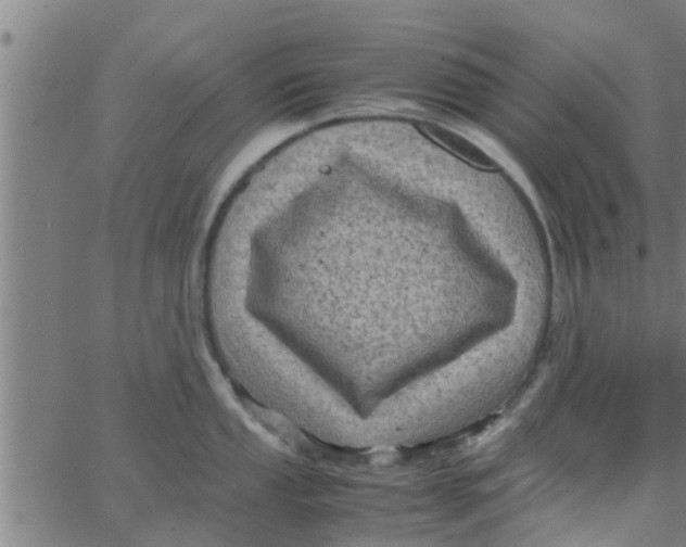 X0000066101053200603312020