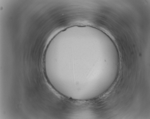 X0000066101056200603312020