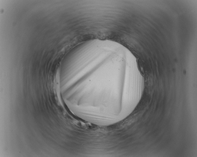 X0000066101058200603312019