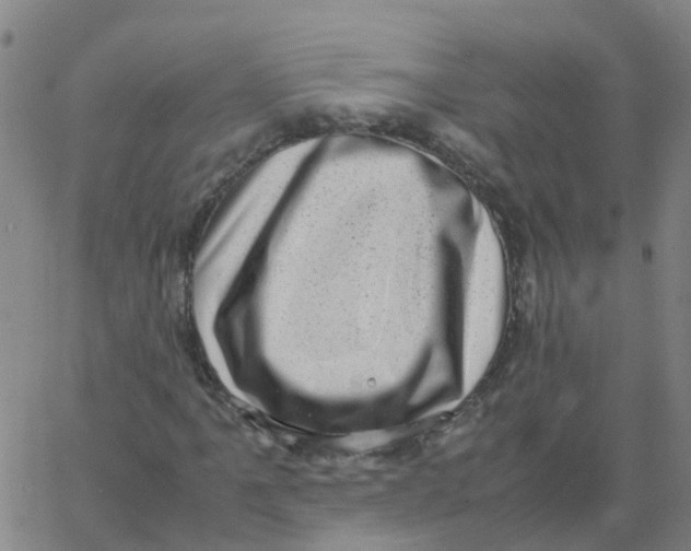 X0000066101061200603312019