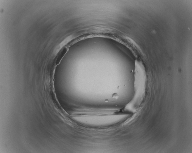 X0000066101065200603312019