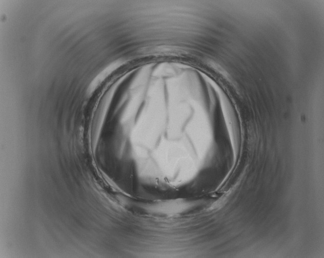 X0000066101066200603312019