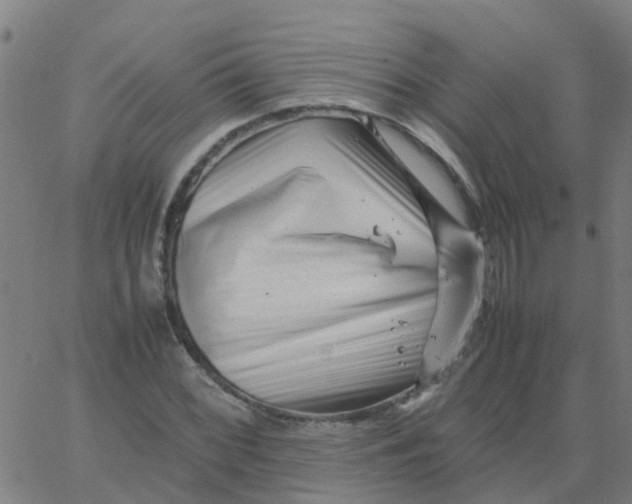 X0000066101068200603312019