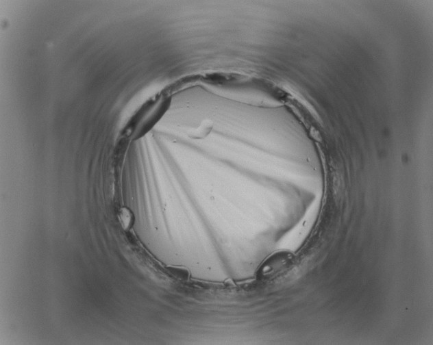 X0000066101069200603312019