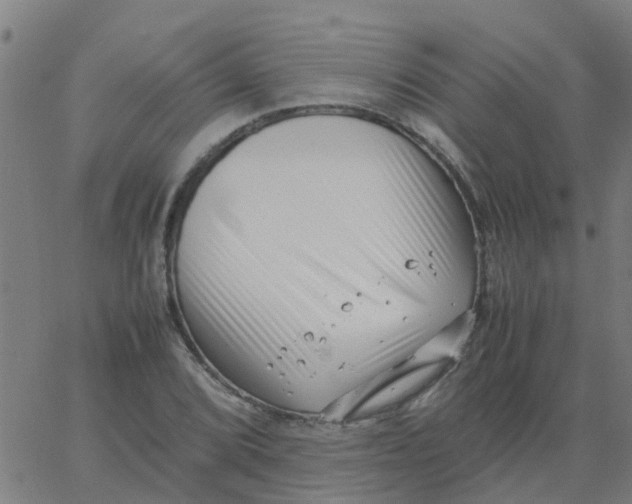 X0000066101072200603312019