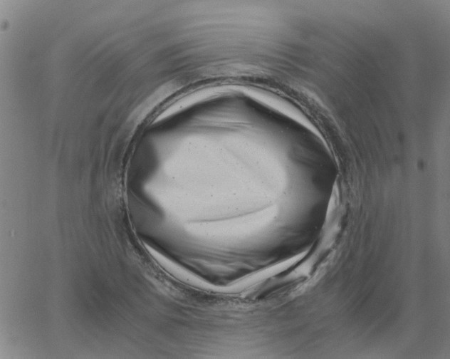 X0000066101073200603312019