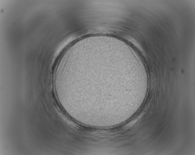 X0000066101075200603312019