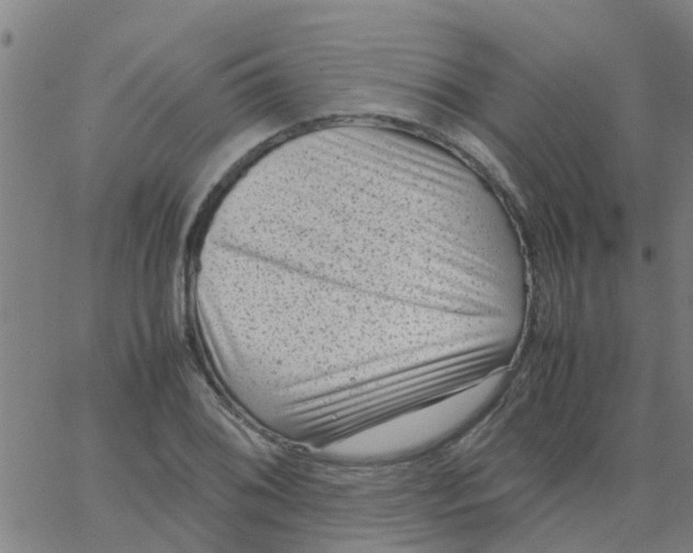 X0000066101076200603312019