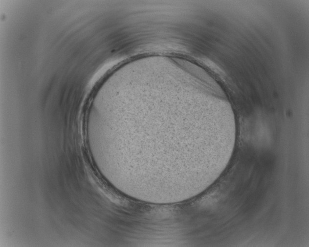 X0000066101078200603312019