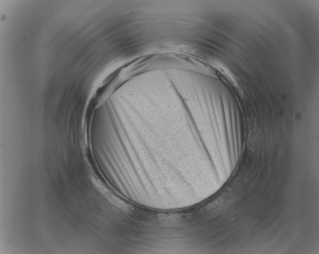 X0000066101080200603312019