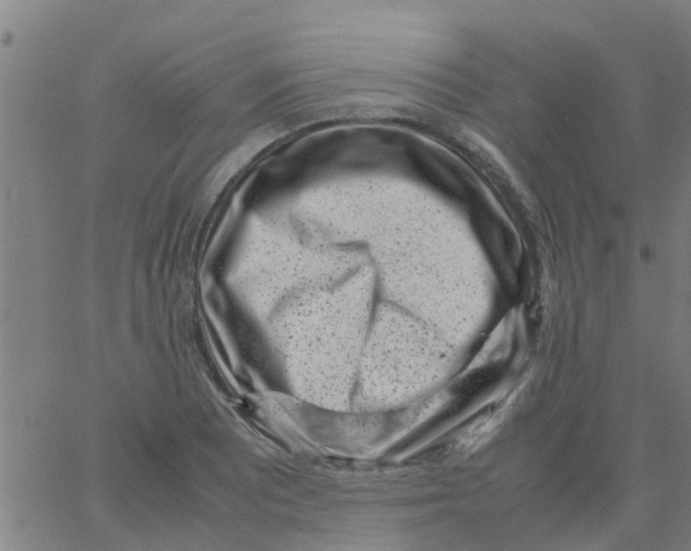 X0000066101081200603312019