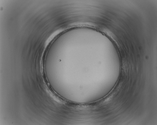 X0000066101082200603312019