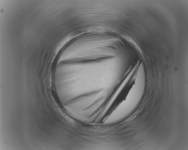 X0000066101083200603312019