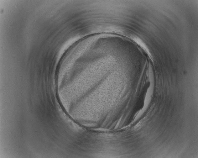 X0000066101088200603312019