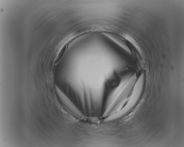 X0000066101089200603312019