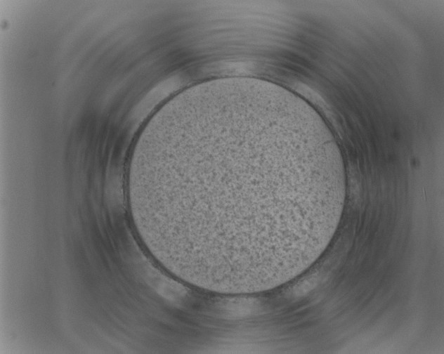 X0000066101090200603312019