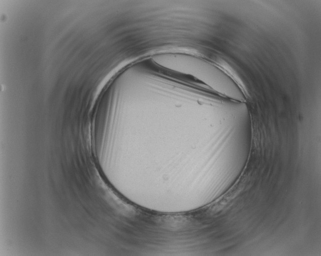 X0000066101092200603312019