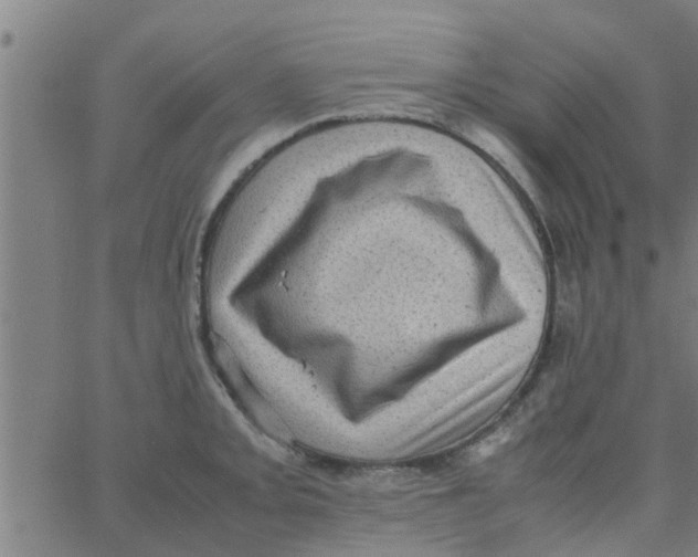 X0000066101093200603312019