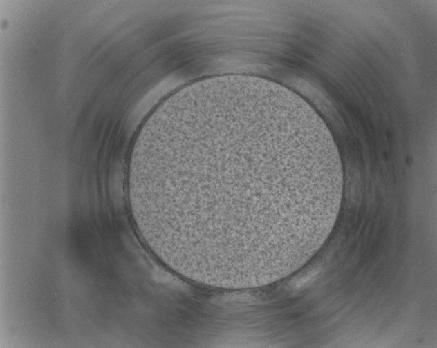 X0000066101094200603312019