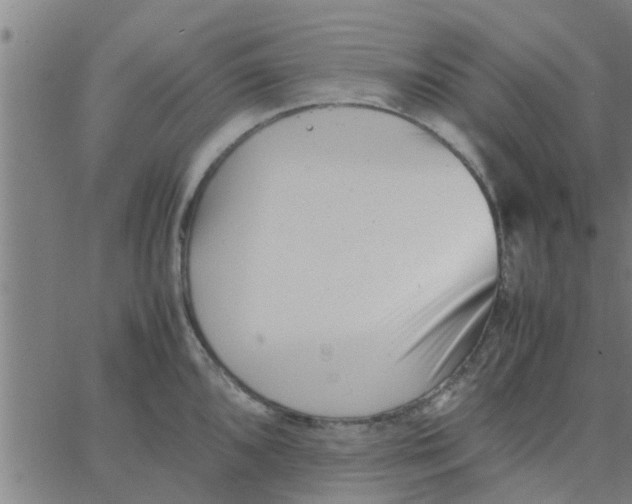 X0000066101096200603312019