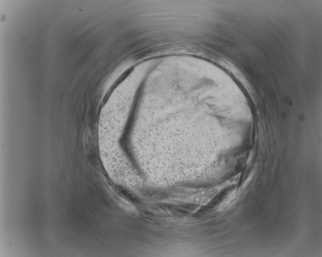 X0000066101097200603312019