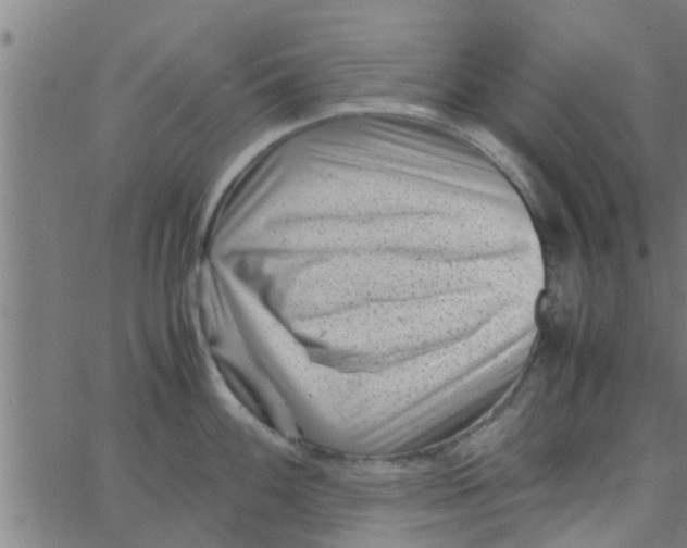 X0000066101100200603312019