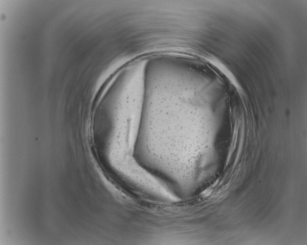 X0000066101101200603312019