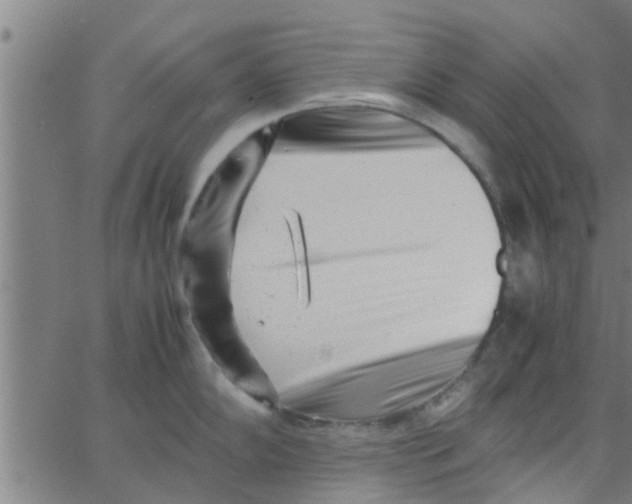 X0000066101102200603312019