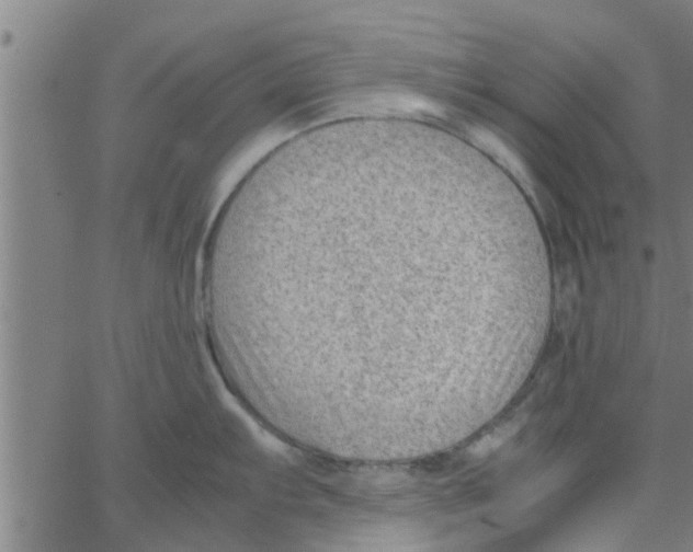 X0000066101103200603312019