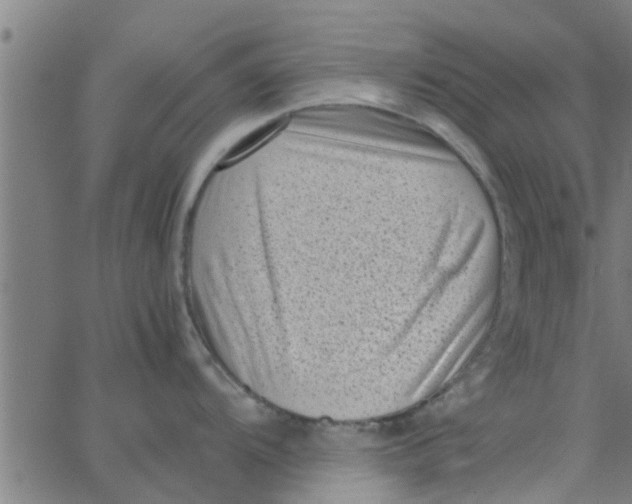 X0000066101104200603312019