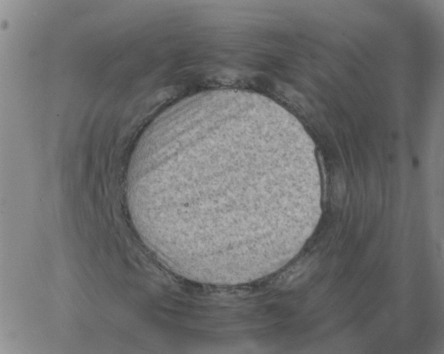 X0000066101105200603312018