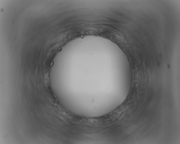 X0000066101109200603312018