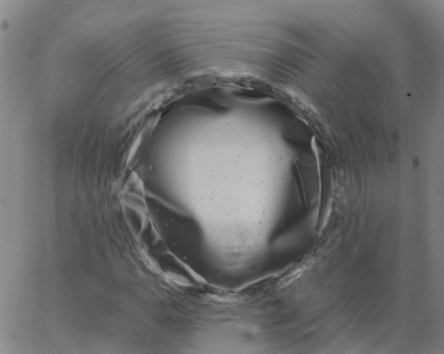 X0000066101110200603312018