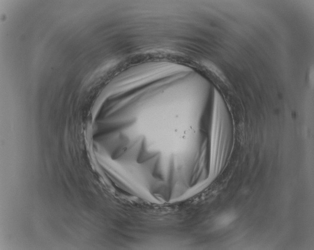 X0000066101111200603312018