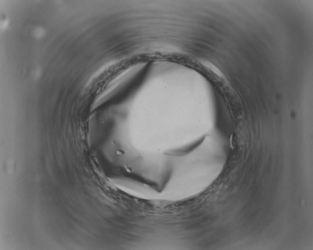 X0000066101112200603312018