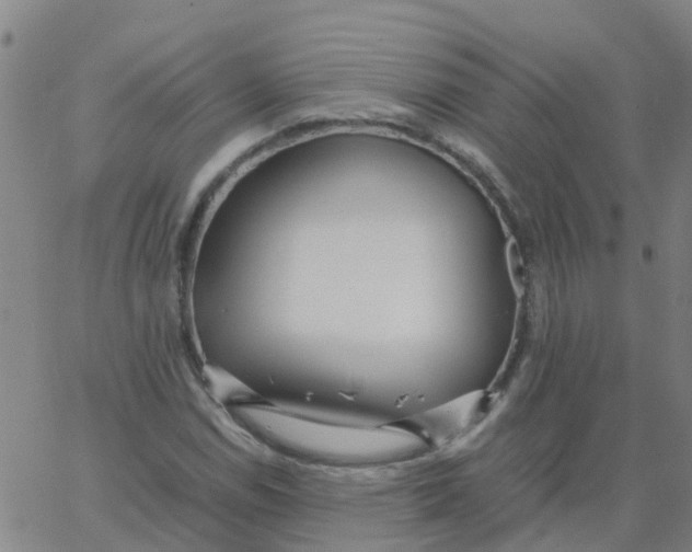 X0000066101114200603312018