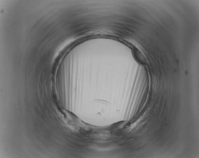 X0000066101115200603312018